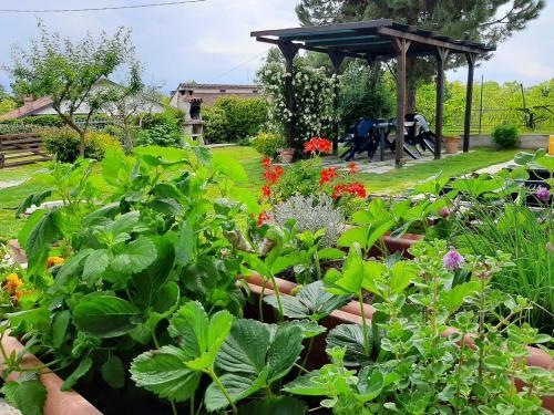 Cascina Teresina