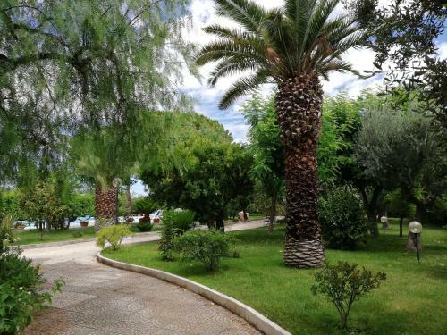 Hostal Paradiso In Campagna
