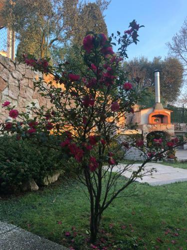 Apartamento B&B Damiano