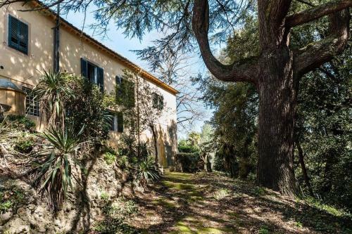 Villa Ott