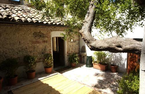 Villa L'albero Di Giuggiole
