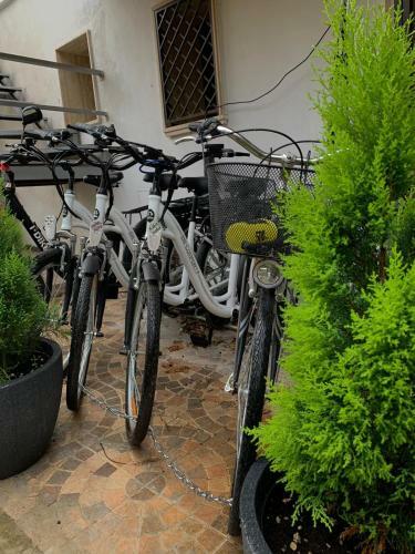 B&B L?antico Rudere