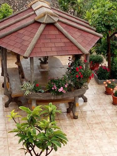 Apartamento Casa Vacanze Rino & Dony