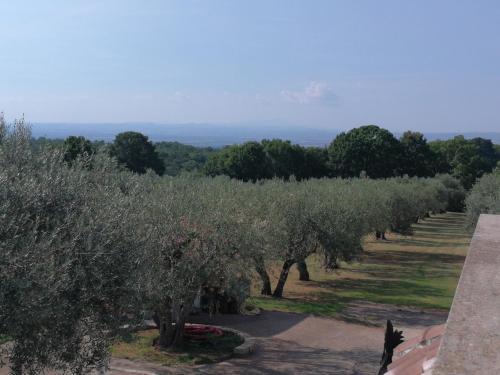 Bed & Breakfast Villa Eb