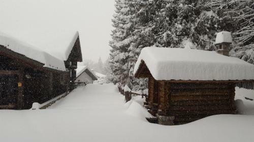 Apartamento Chalet Blanc " Premier "