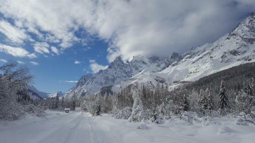 Apartamento Chalet Blanc " Premier "
