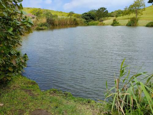 Lovely 3 Bedroom Apartment In Sheffield/ballito