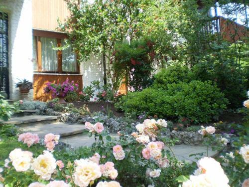 B&B Fontanella