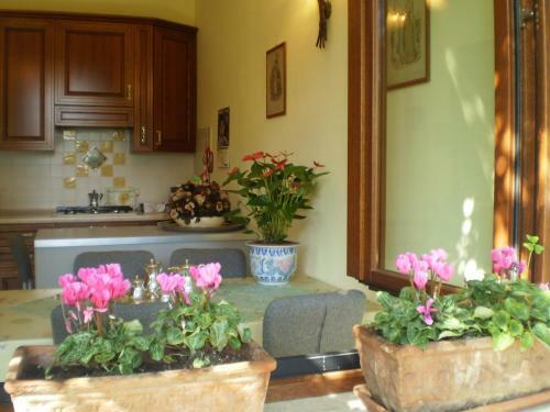 B&B Fontanella
