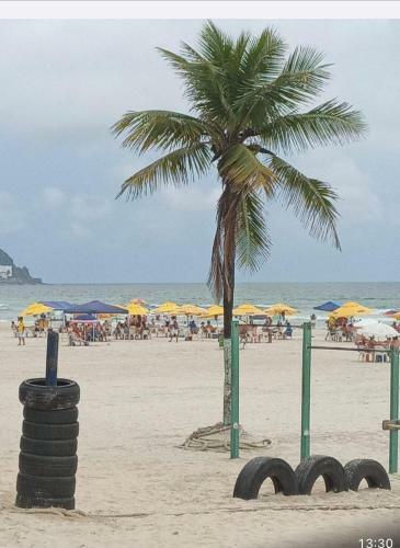 Apartamento 2 Dormitorios - Pr�ximo A Praia Bem Localizado