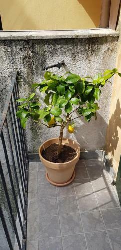 Apartamento Antico Loft Como