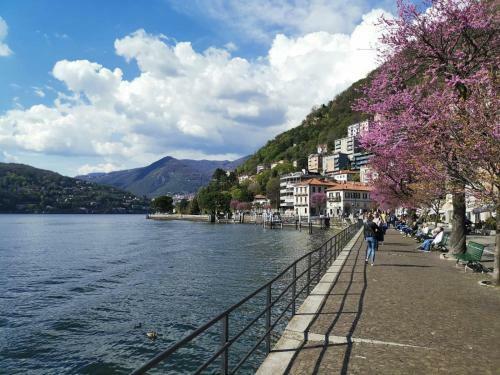 Apartamento Altido Superb And Chic Flat In Viale Geno, Como Lake