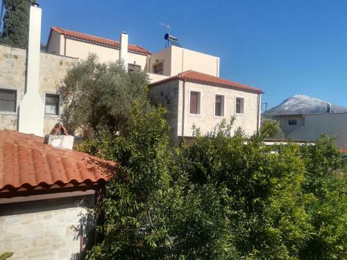 Olive Tree House