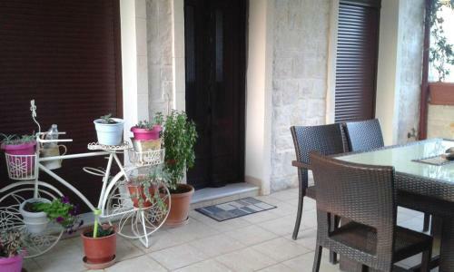 Olive Tree House
