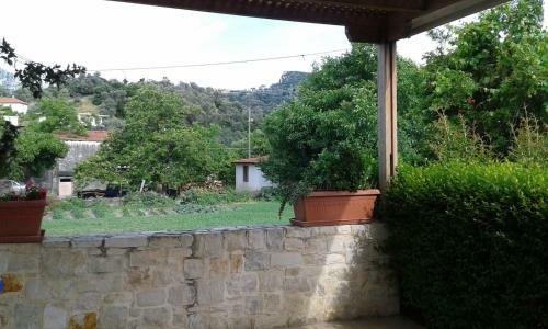 Olive Tree House