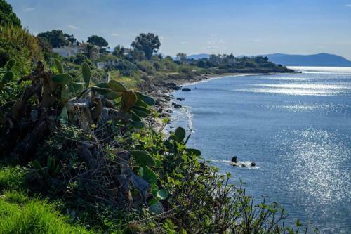 Apartamento Contemporary Beach House-sikinos