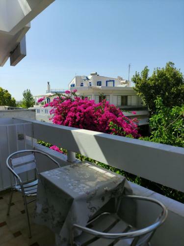 S.drosos Apartment