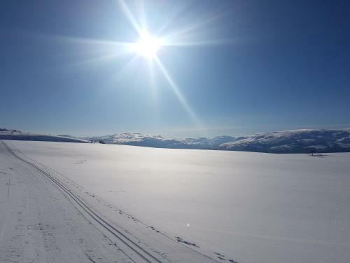 New And Exclusive Cottage In Voss With A Great View