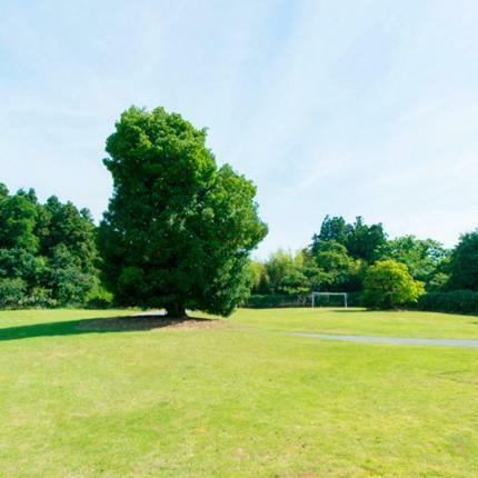 Hostal Guest House Third Place