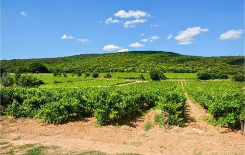 Four-bedroom Holiday Home In Uzes