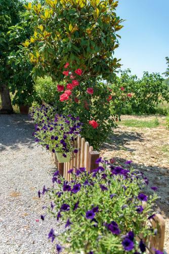 Agroturismo La Casa Di Vittoria