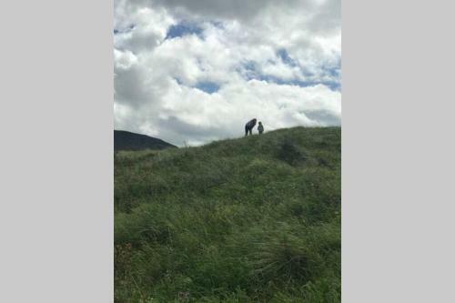 Apartamento The Byre (Unusual And Different).