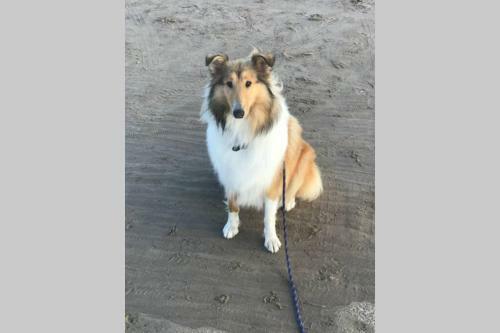 Apartamento The Byre (Unusual And Different).