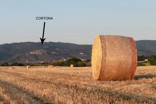 Agroturismo Fattoria Borgonuovo