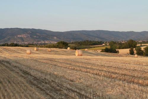 Agroturismo Fattoria Borgonuovo