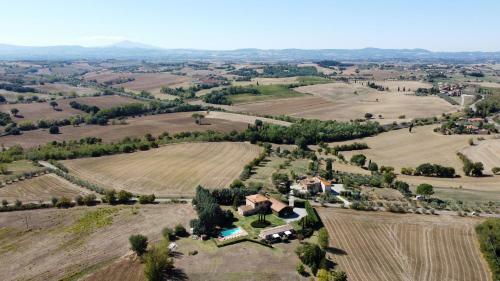 Agroturismo Fattoria Borgonuovo