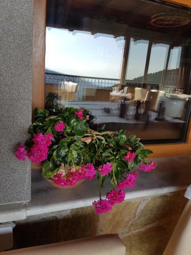 Hotel Metoxi