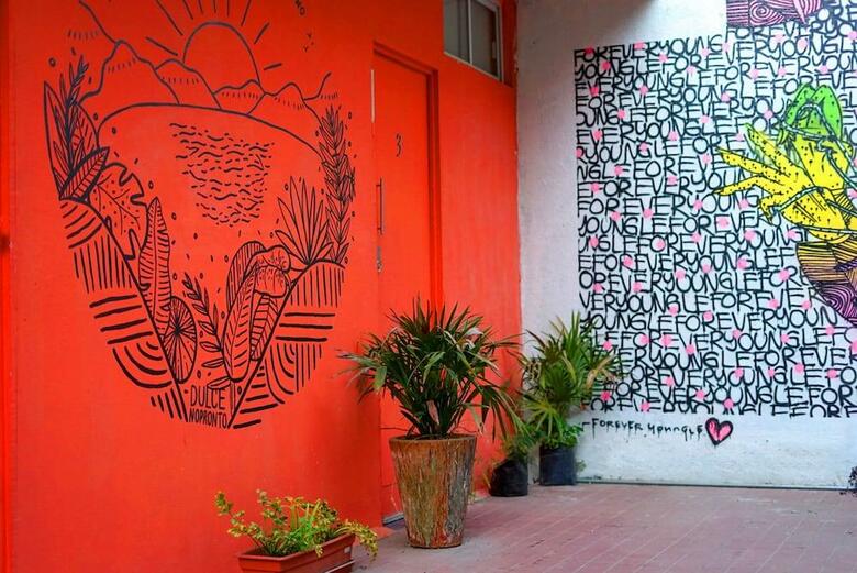 Blue Pepper Hostel Chapultepec