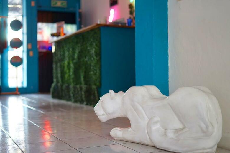 Blue Pepper Hostel Chapultepec