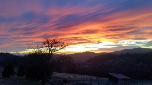 Bed & Breakfast La Quiete Tra Le Colline