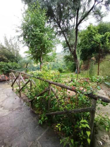Hostal Tra Grilli E Cicale