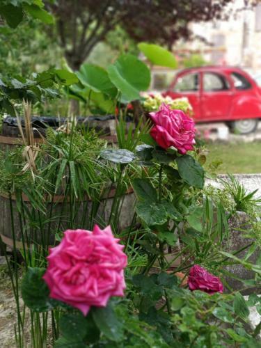 Hostal Tra Grilli E Cicale