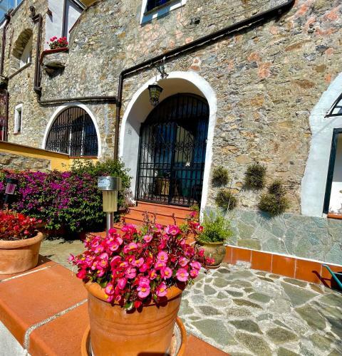 Apartamento Casa Belvedere