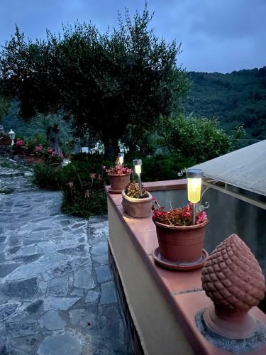 Apartamento Casa Belvedere