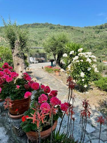 Apartamento Casa Belvedere