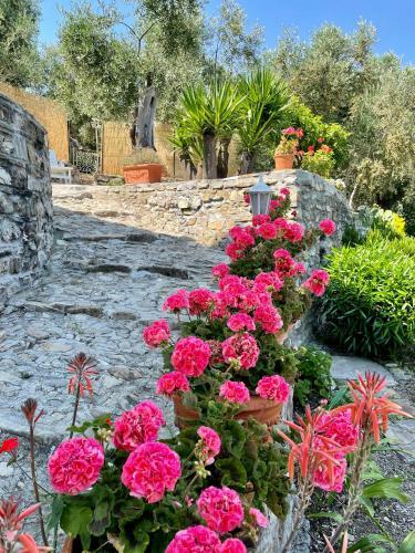 Apartamento Casa Belvedere