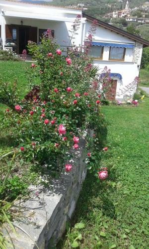 Apartamento Via Molini 3 Km Zum Strand Priv. Parkplatz