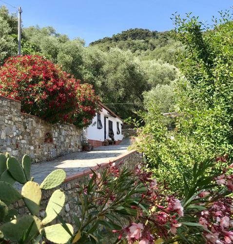 Casa Uliveto