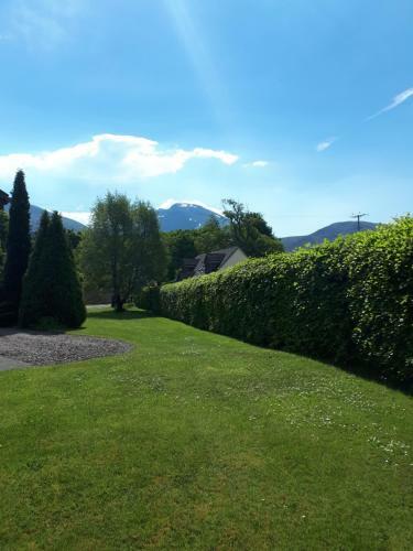Bed & Breakfast Seren Garden Pod