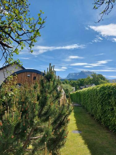 Bed & Breakfast Seren Garden Pod