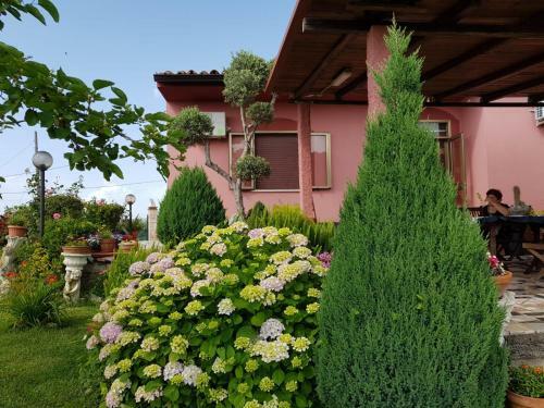 B&B La Sirenetta
