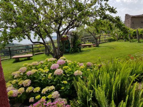 B&B La Sirenetta