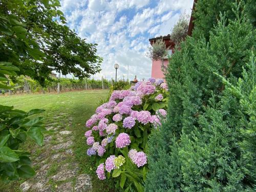 B&B La Sirenetta
