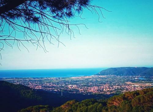 La Ginestra B&B
