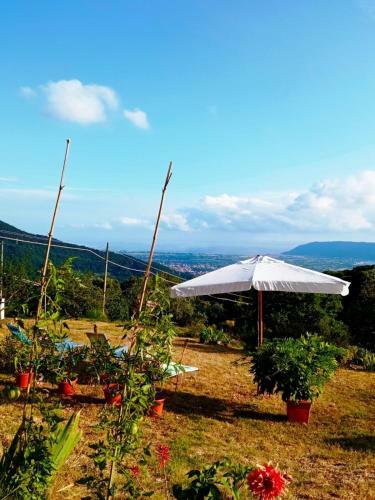 La Ginestra B&B