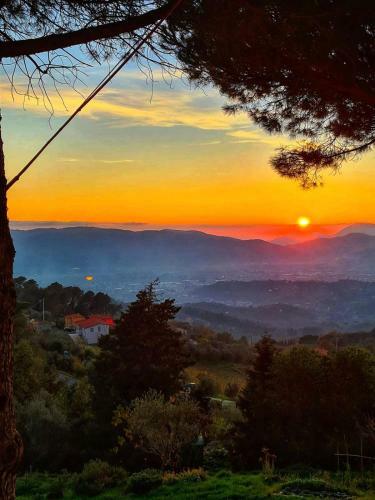 La Ginestra B&B